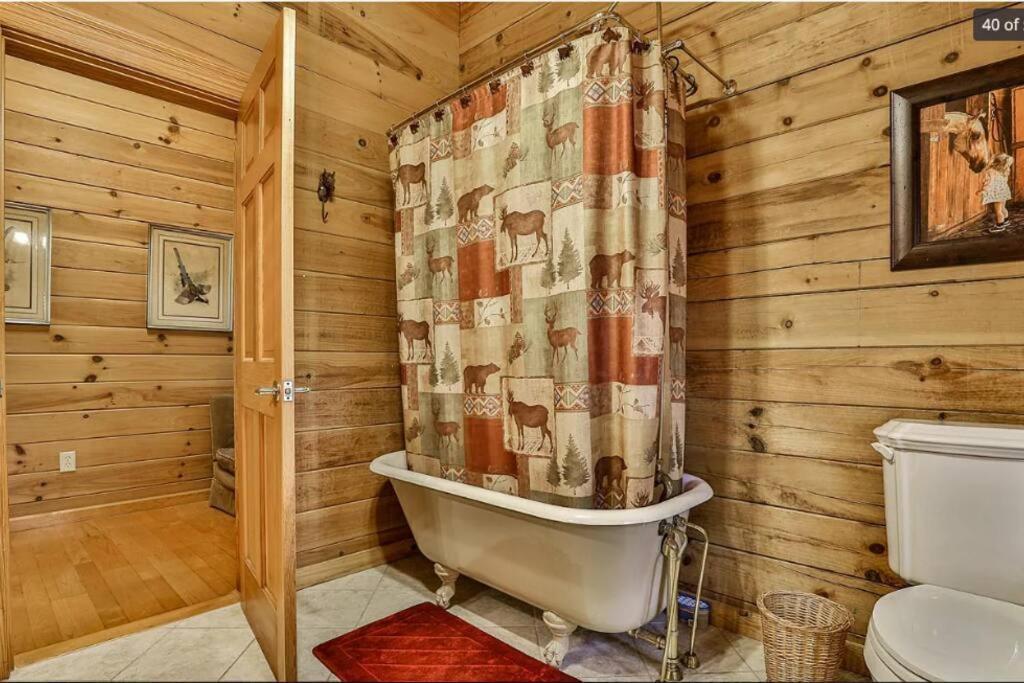 Blue Ridge Bliss- Spacious Cabin, Pets, Hot Tub! Εξωτερικό φωτογραφία