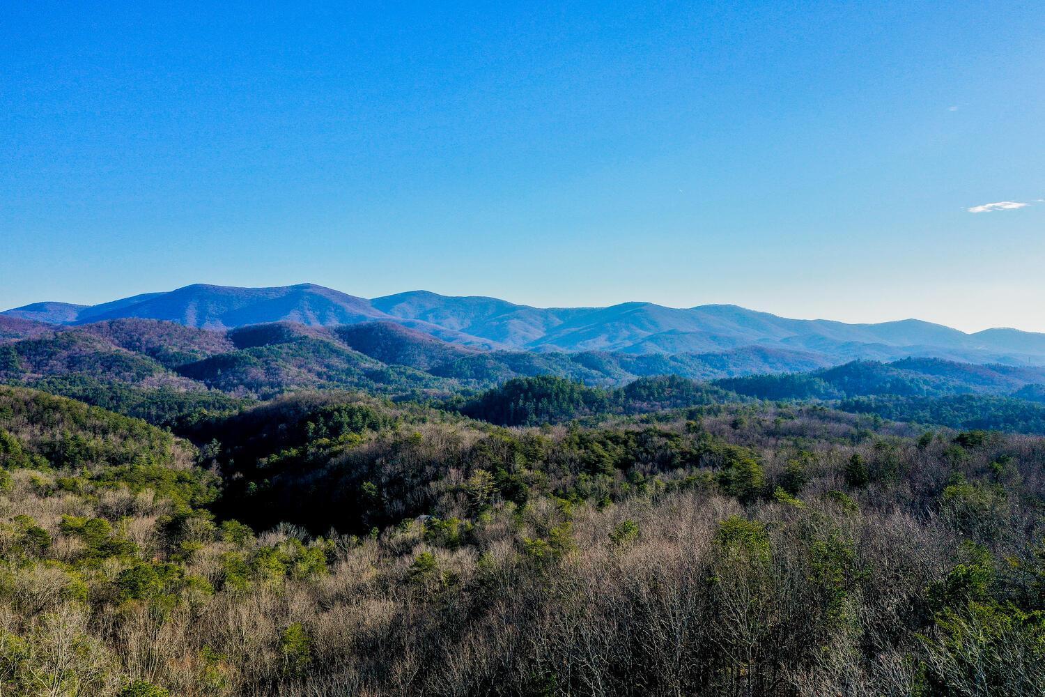 Blue Ridge Bliss- Spacious Cabin, Pets, Hot Tub! Εξωτερικό φωτογραφία